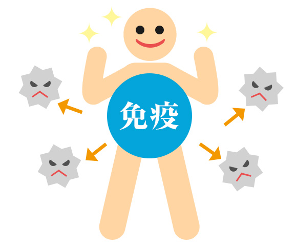 2. シンプルなキノコスープを試してみましょう