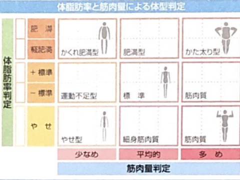 体組成計について(詳解) 体組成計について